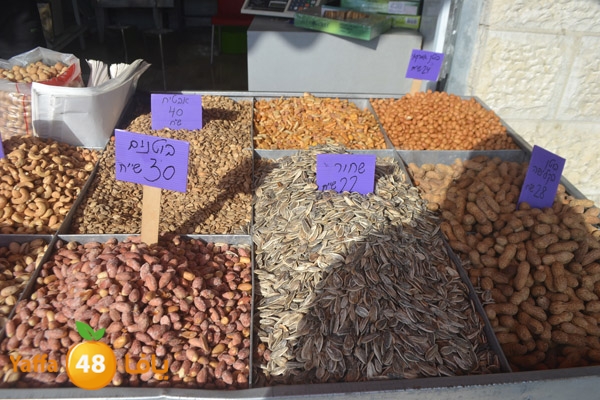 mokasaratshadyjamal (6).JPG